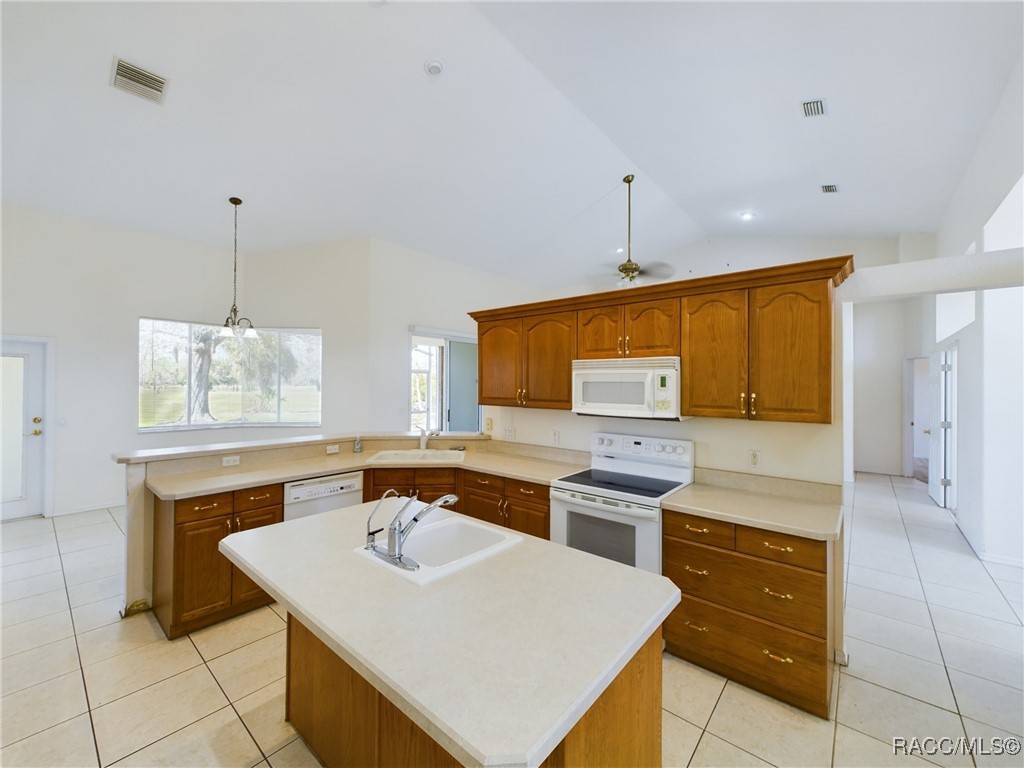 930 N Country Club Drive, Crystal River, Florida image 11