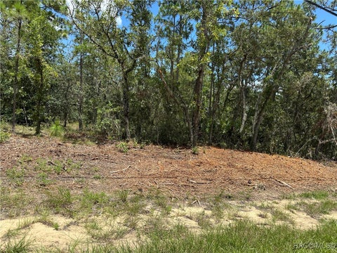 Vacant Land For Sale - 955 W Hampshire Boulevard<br/> Citrus Springs, FL 34434