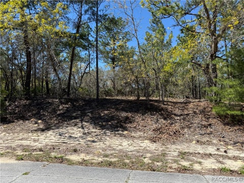 Vacant Land For Sale - 10776 N Moreno Drive<br/> Dunnellon, FL 34433