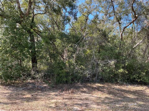 Vacant Land For Sale - 1534 W Magenta Drive<br/> Citrus County, Citrus Springs, FL 34434