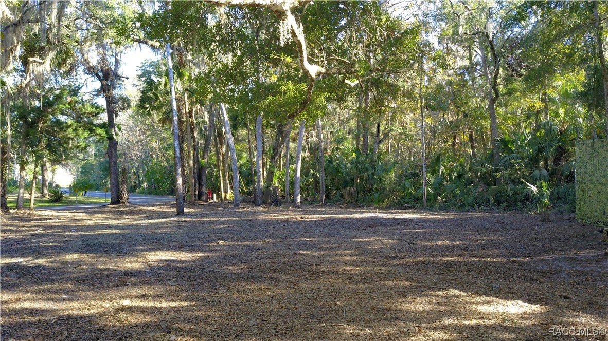4367 S Conwell Point, Homosassa, New York image 1