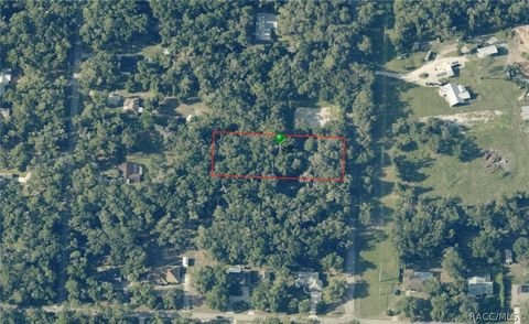 Vacant Land For Sale - 3987 S Big Al Point<br/> Inverness, FL 34452