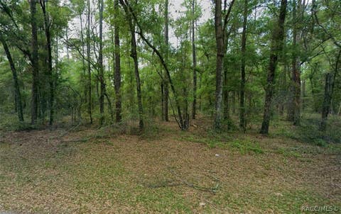 Vacant Land For Sale - 9183 N Anton Way<br/> Citrus Springs, FL 34434