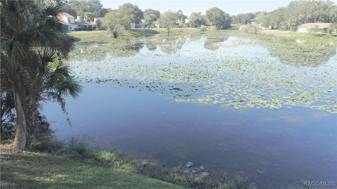 76 S Heron Creek Loop, Inverness, Florida image 4