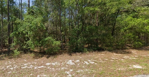 Vacant Land For Sale - 8566 N Spikes Way<br/> Dunnellon, FL 34434
