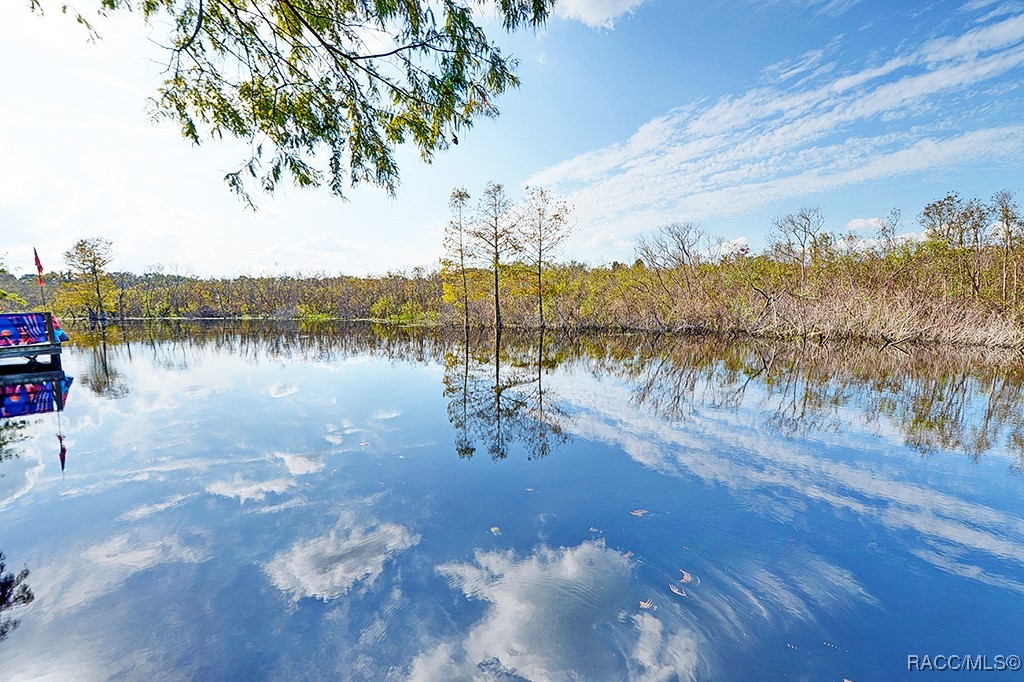 11411 E Loon Court, Floral City, Florida image 7