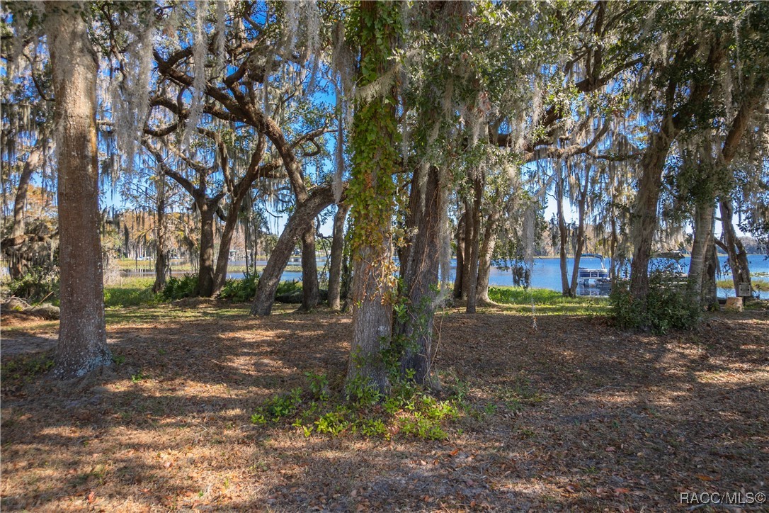 990 Pritchard Island Road, Inverness, Florida image 50