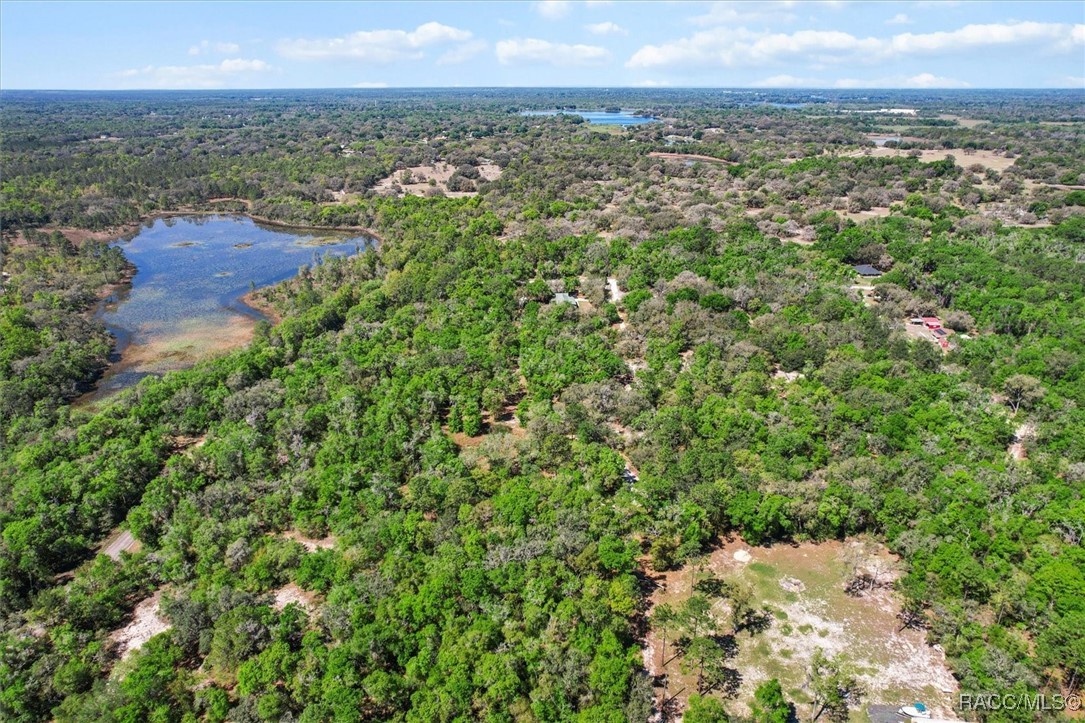 10714 E Ashwood Lane, Inverness, Florida image 4