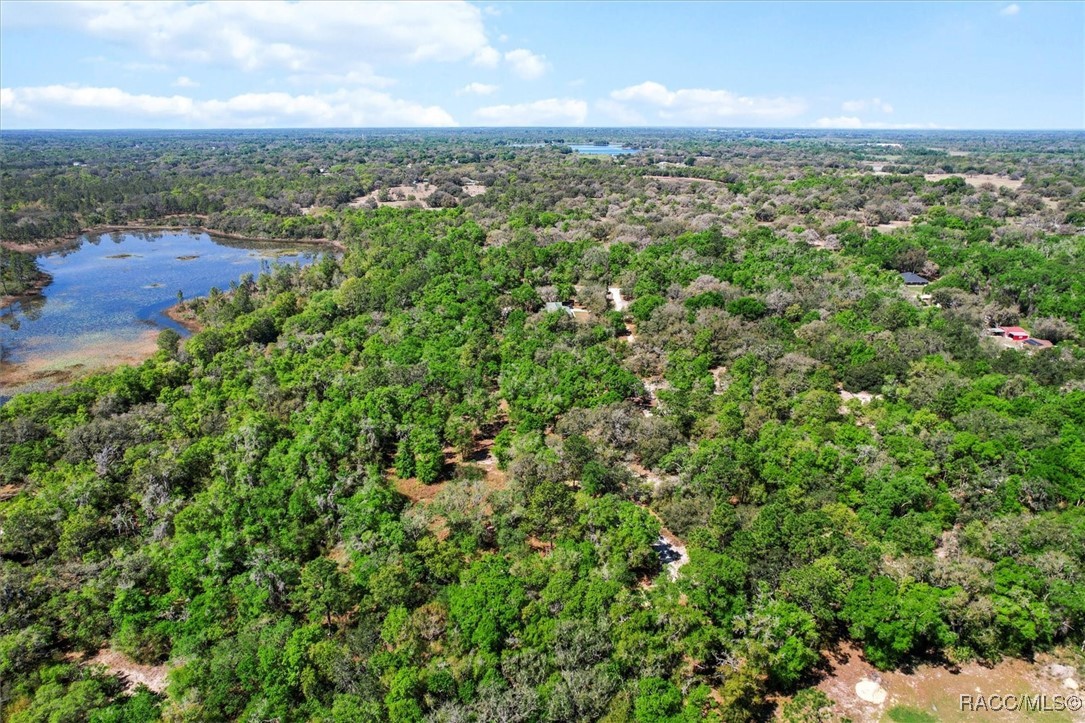 10714 E Ashwood Lane, Inverness, Florida image 5