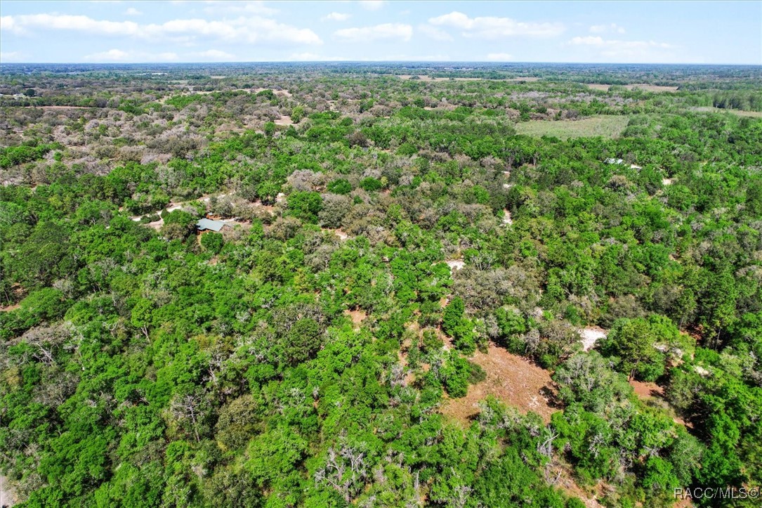 10714 E Ashwood Lane, Inverness, Florida image 12