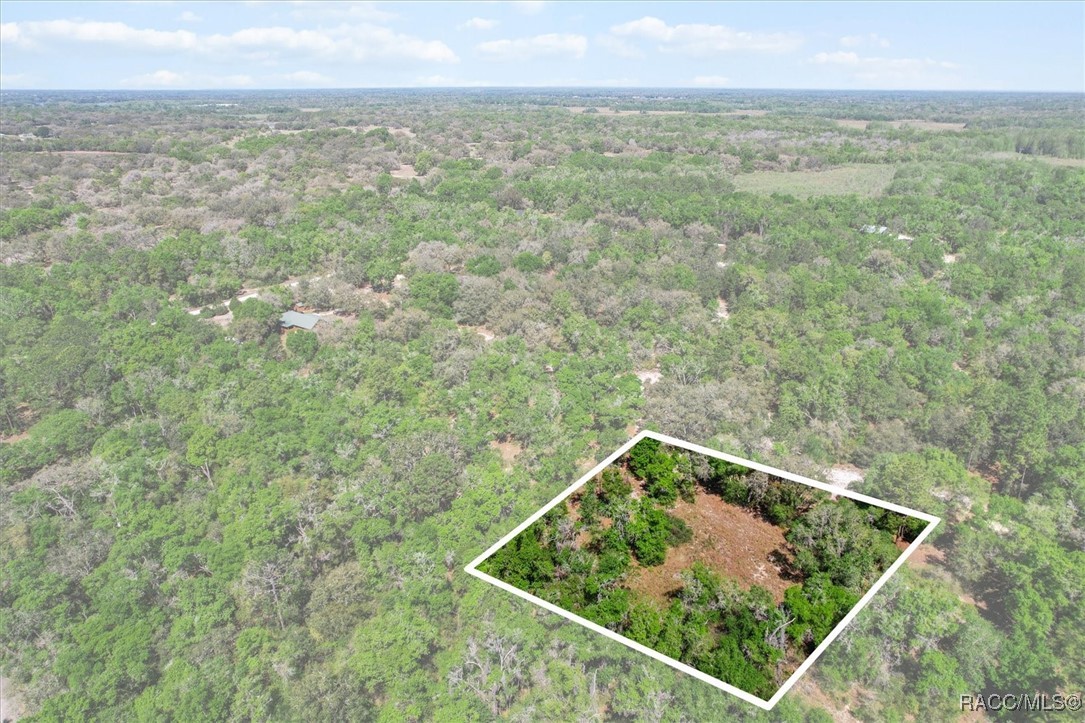10714 E Ashwood Lane, Inverness, Florida image 3