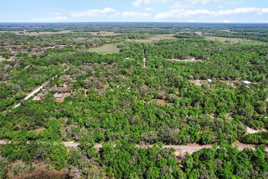 10714 E Ashwood Lane, Inverness, Florida image 13
