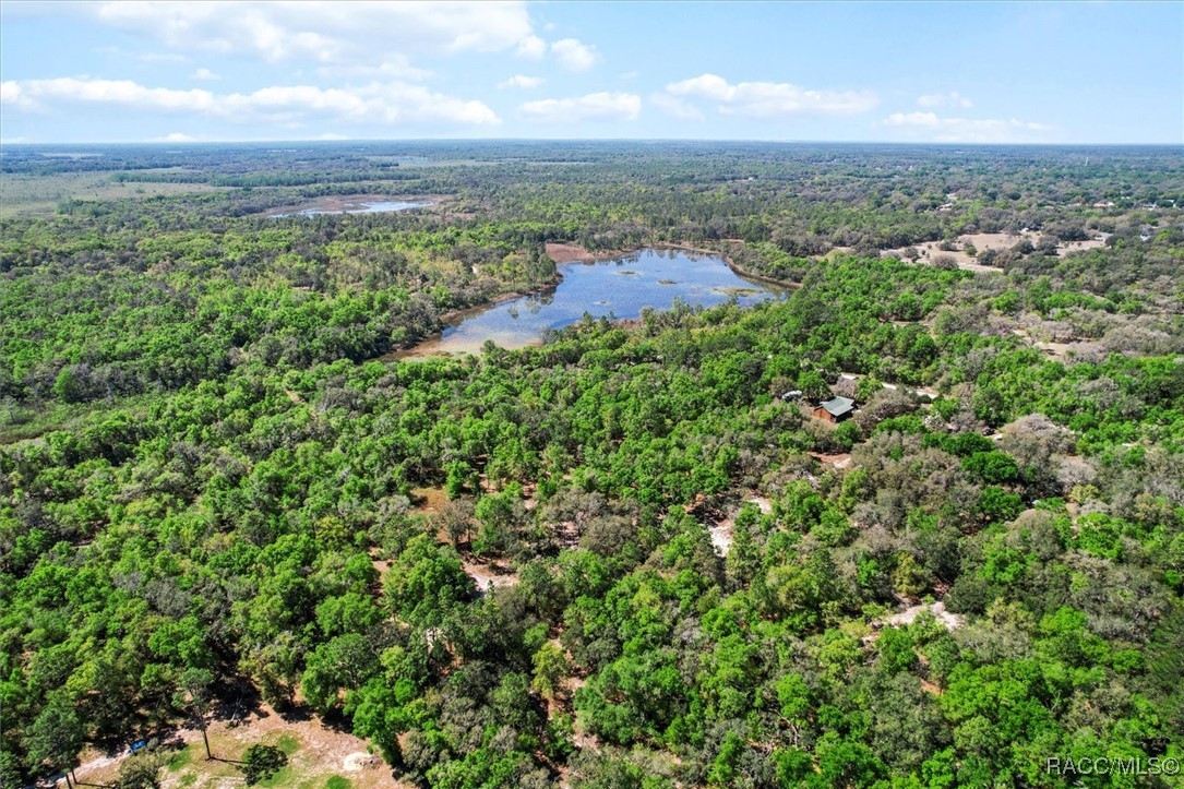 10714 E Ashwood Lane, Inverness, Florida image 7