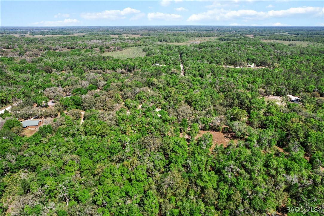 10714 E Ashwood Lane, Inverness, Florida image 14