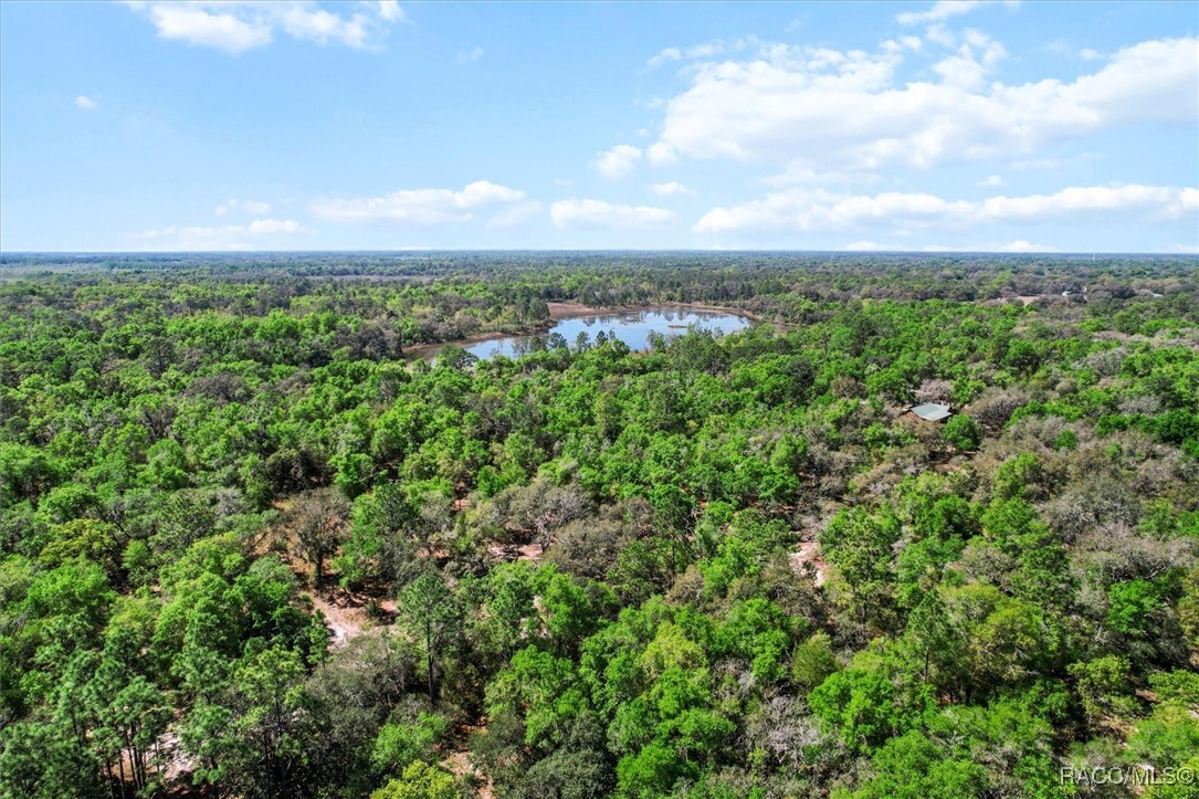 10714 E Ashwood Lane, Inverness, Florida image 11