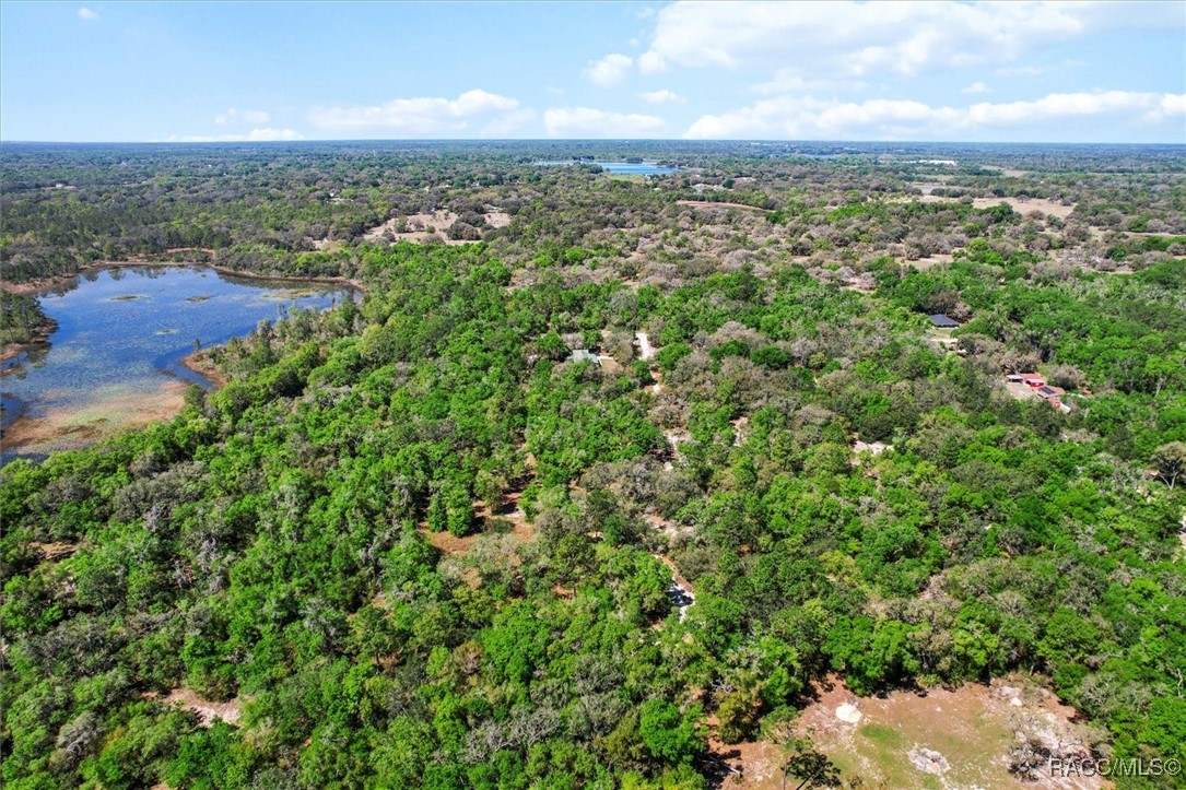 10714 E Ashwood Lane, Inverness, Florida image 6