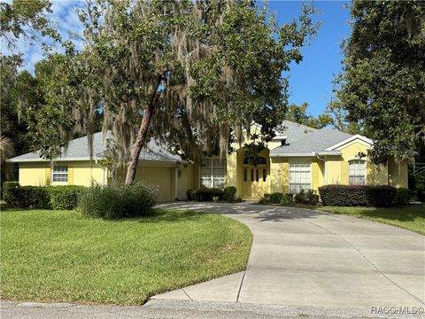 12 Sweet Peas Court Homosassa FL 34446