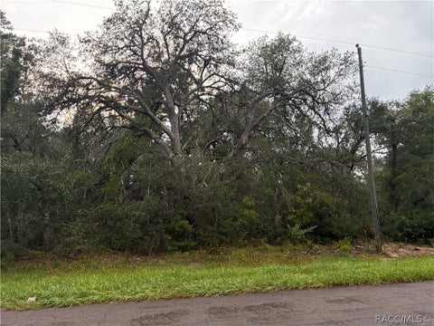 Vacant Land For Sale - 8862 N Spartan Drive<br/> Citrus County, Citrus Springs, FL 34433