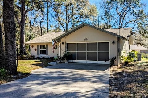 A home in Citrus Springs