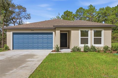 Homes For Sale - 7544 N Maltese Drive<br/> Citrus County, Dunnellon, FL 34433
