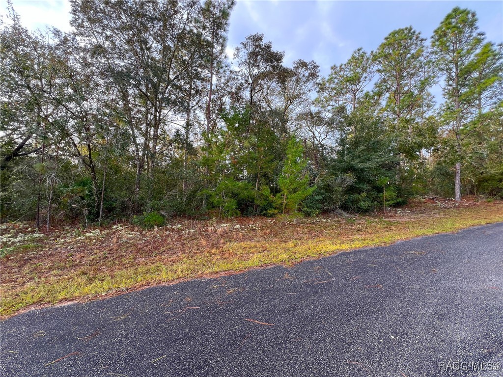 6538 N Whispering Drive, Citrus Springs, Florida image 8