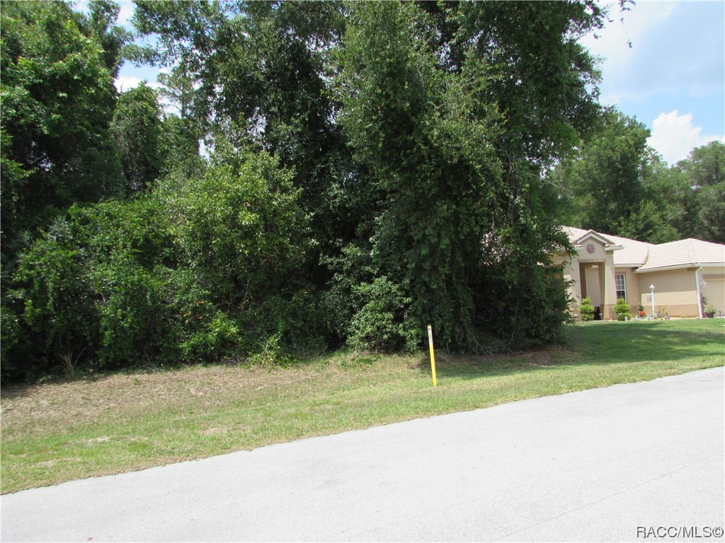 2852 N Appledore Path, Hernando, Florida image 3