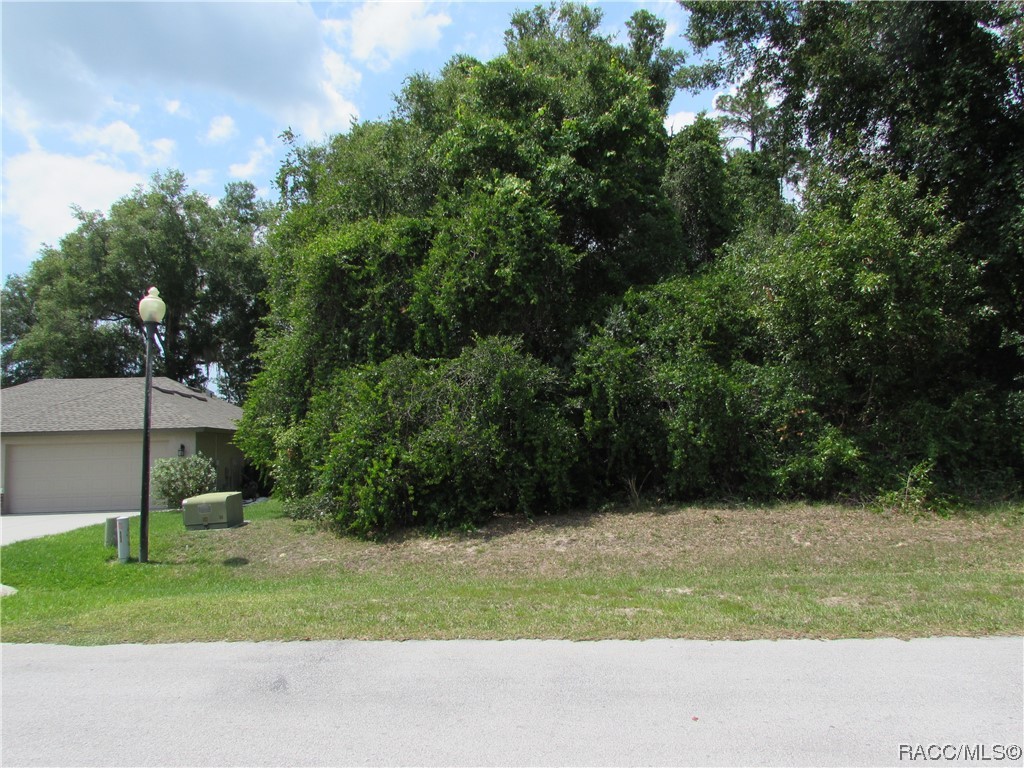 2852 N Appledore Path, Hernando, Florida image 1