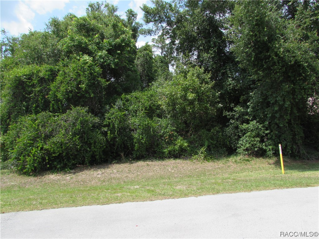 2852 N Appledore Path, Hernando, Florida image 2