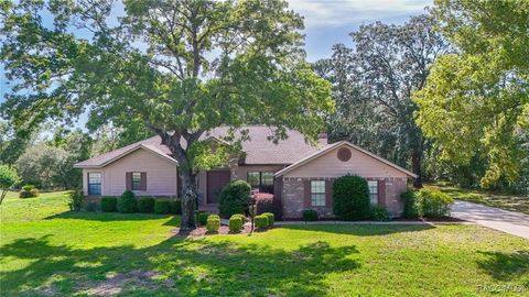 702 N Man O War Drive Inverness FL 34453
