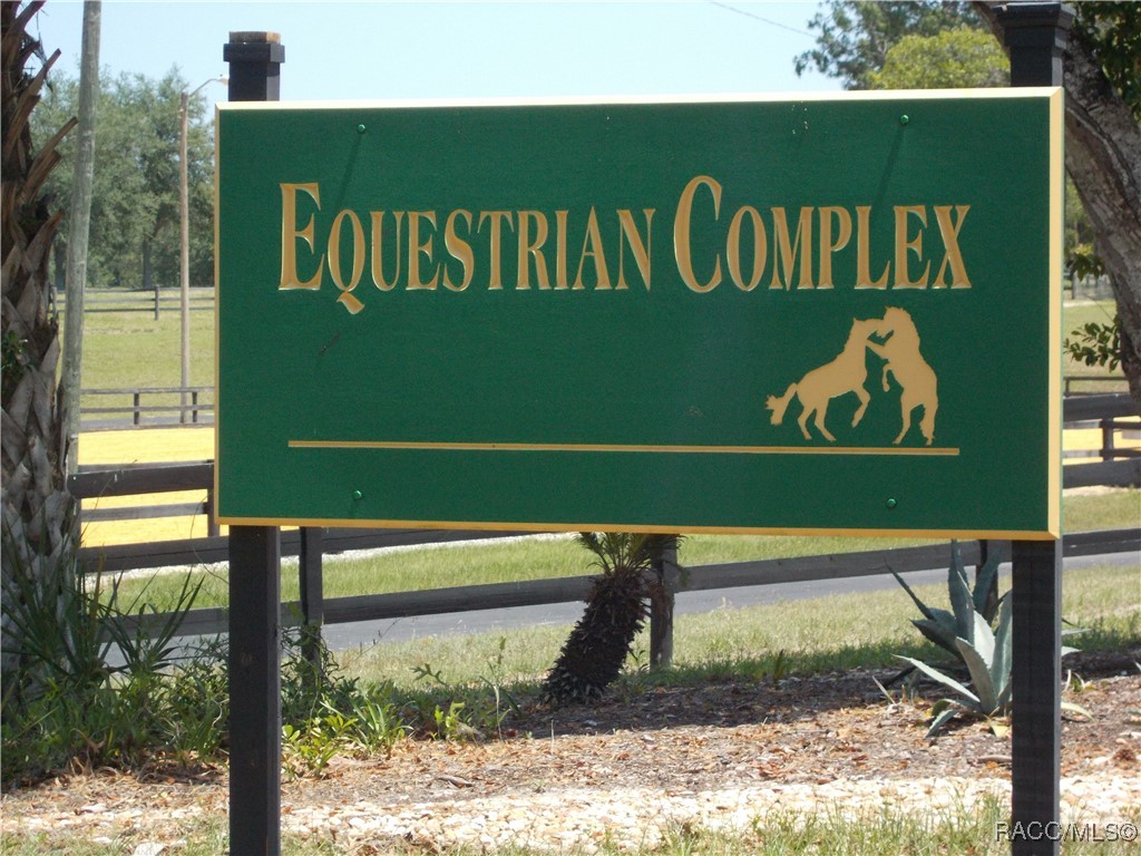 Beverly Hills, Florida 34465, United States, ,Land,Active,196037