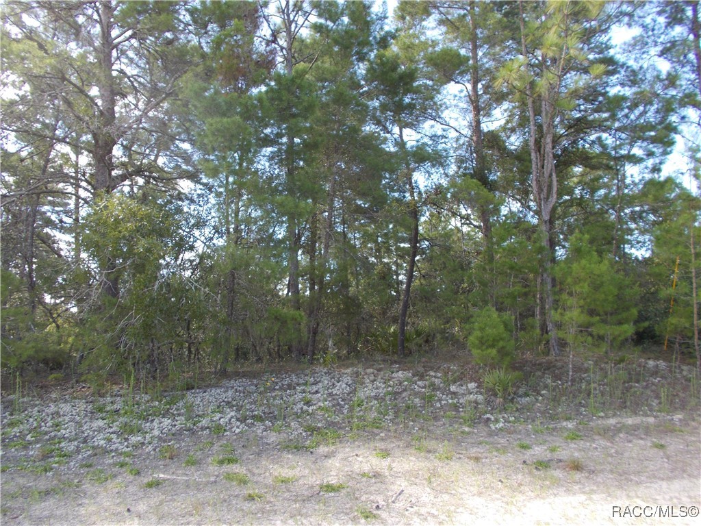 Beverly Hills, Florida 34465, United States, ,Land,Active,196037