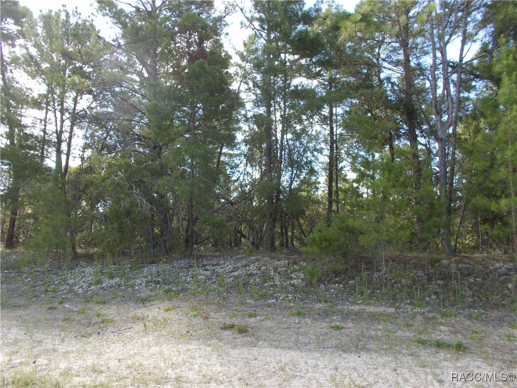 Beverly Hills, Florida 34465, United States, ,Land,Active,196037 Beverly Hills, Florida 34465, United States, ,Land,Active,196037