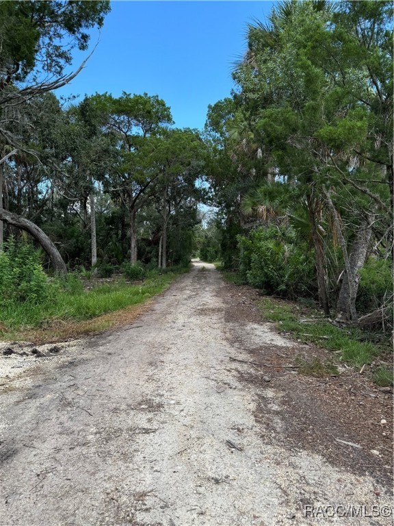 14208 W Sutton Court, Crystal River, Florida image 16