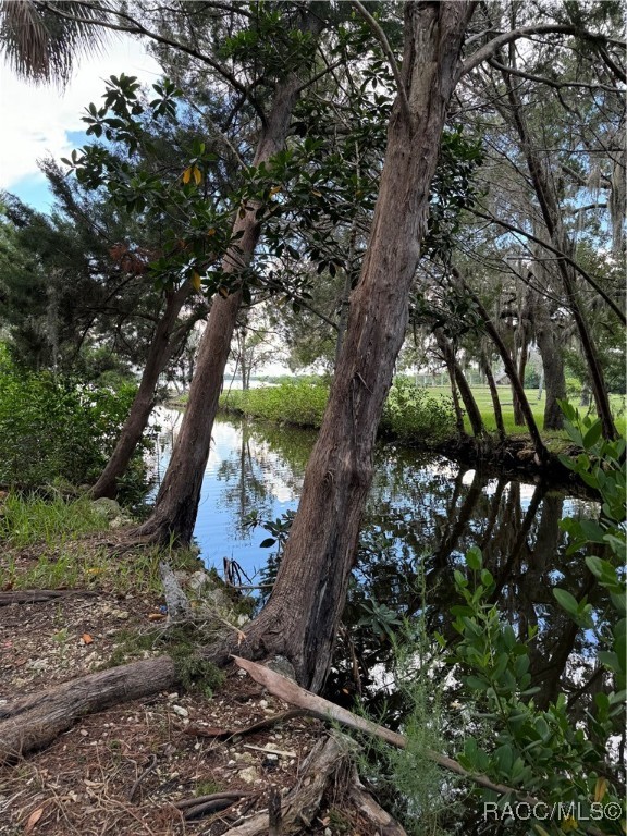 14208 W Sutton Court, Crystal River, Florida image 3