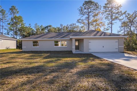 A home in Citrus Springs