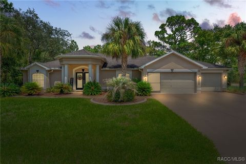 A home in Homosassa