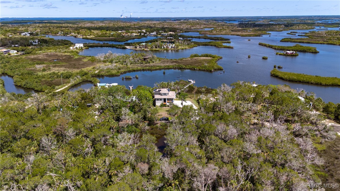 14211 W Saint Martins Road, Crystal River, New York image 3