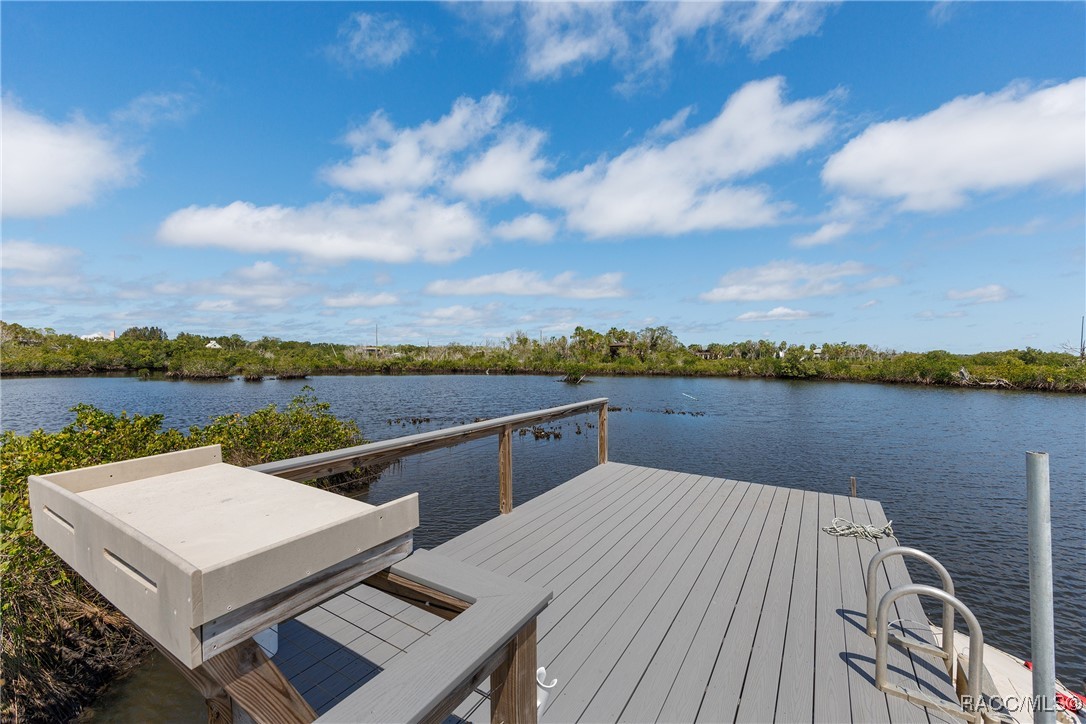 14211 W Saint Martins Road, Crystal River, New York image 43