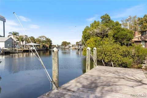 A home in Crystal River