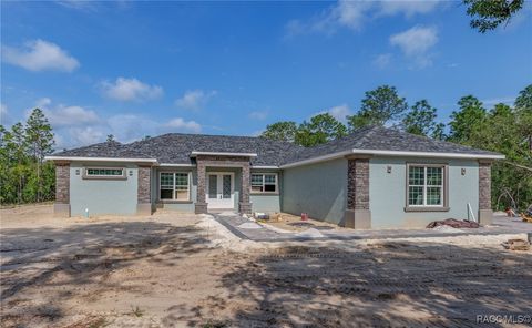 6055 W Rio Grande Drive Beverly Hills FL 34465