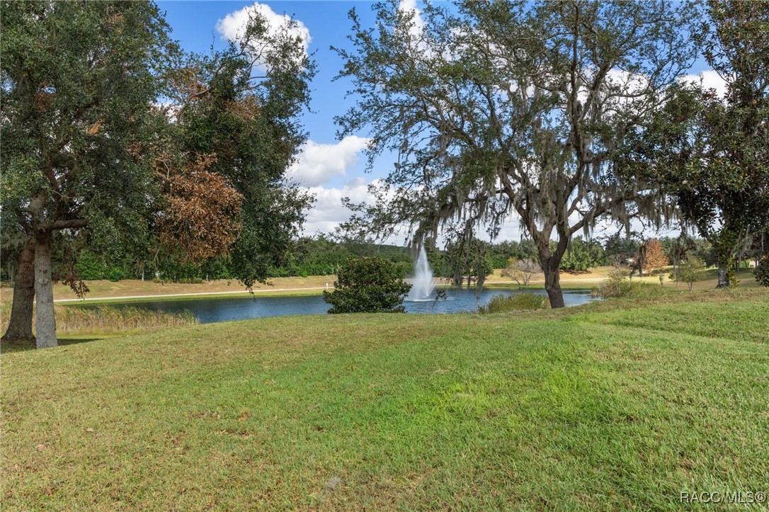 1251 W Skyview Crossing Drive, Hernando, Florida image 46