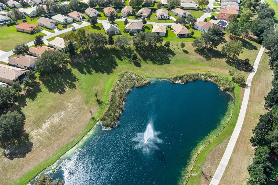 1251 W Skyview Crossing Drive, Hernando, Florida image 47