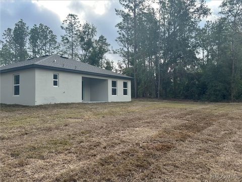 A home in Citrus Springs