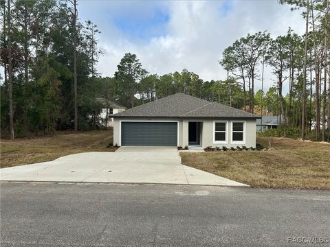 A home in Citrus Springs