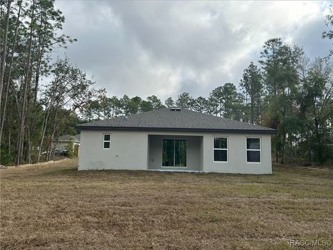 A home in Citrus Springs