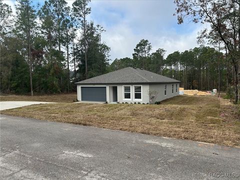 A home in Citrus Springs