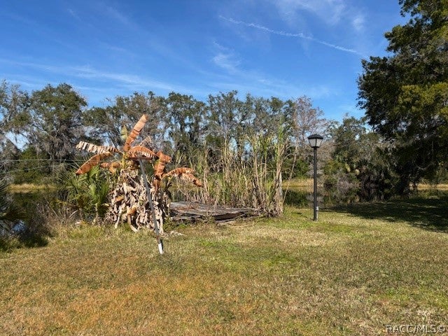 53 N Archwood Drive