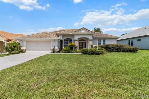 251 W Mickey Mantle Path Hernando FL 34442