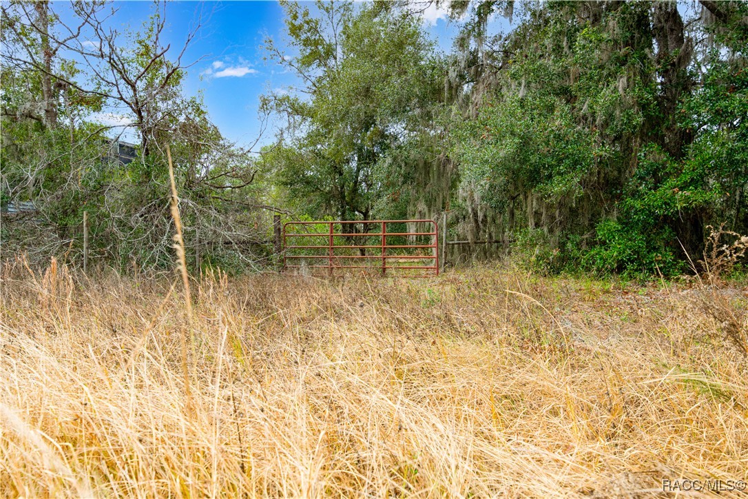 12838 S Florida Avenue, Floral City, Florida image 3