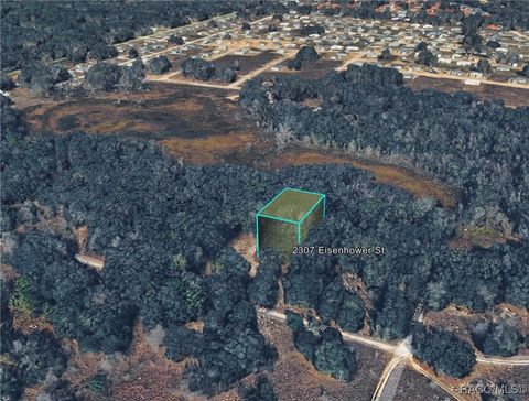 Vacant Land For Sale - 2307 Eisenhower Street<br/> Inverness, FL 34453